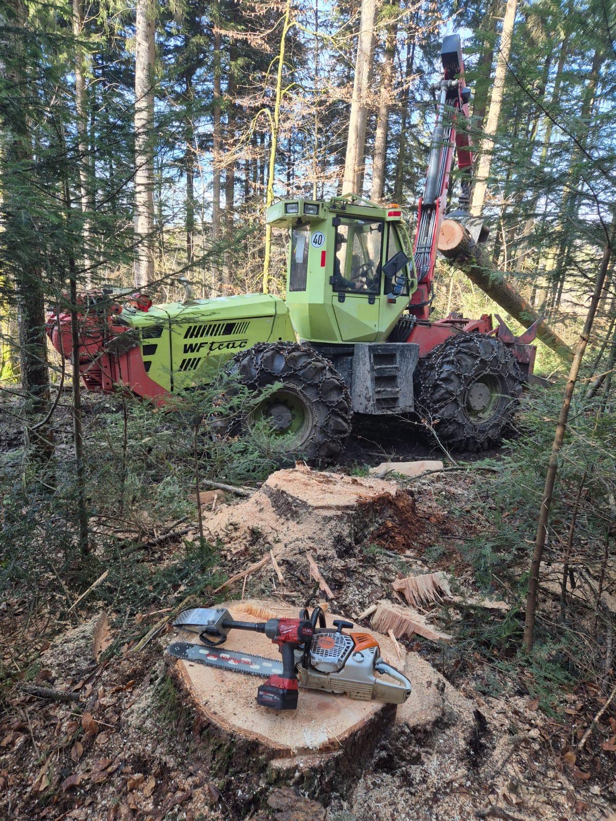 WF Trac mit Rückekran und angehobenem Stamm im Wald