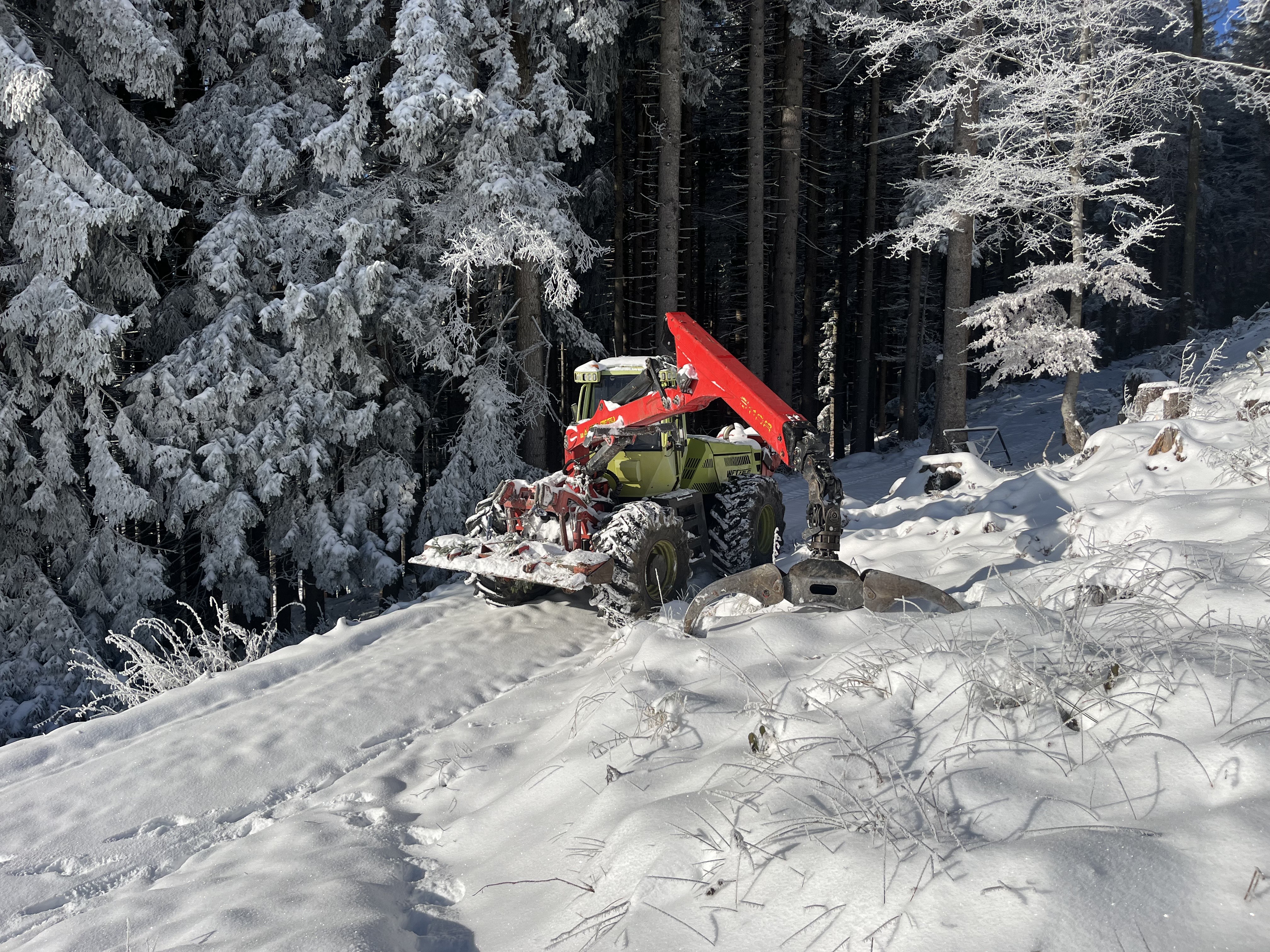 WF Trac im verschneiten Wald