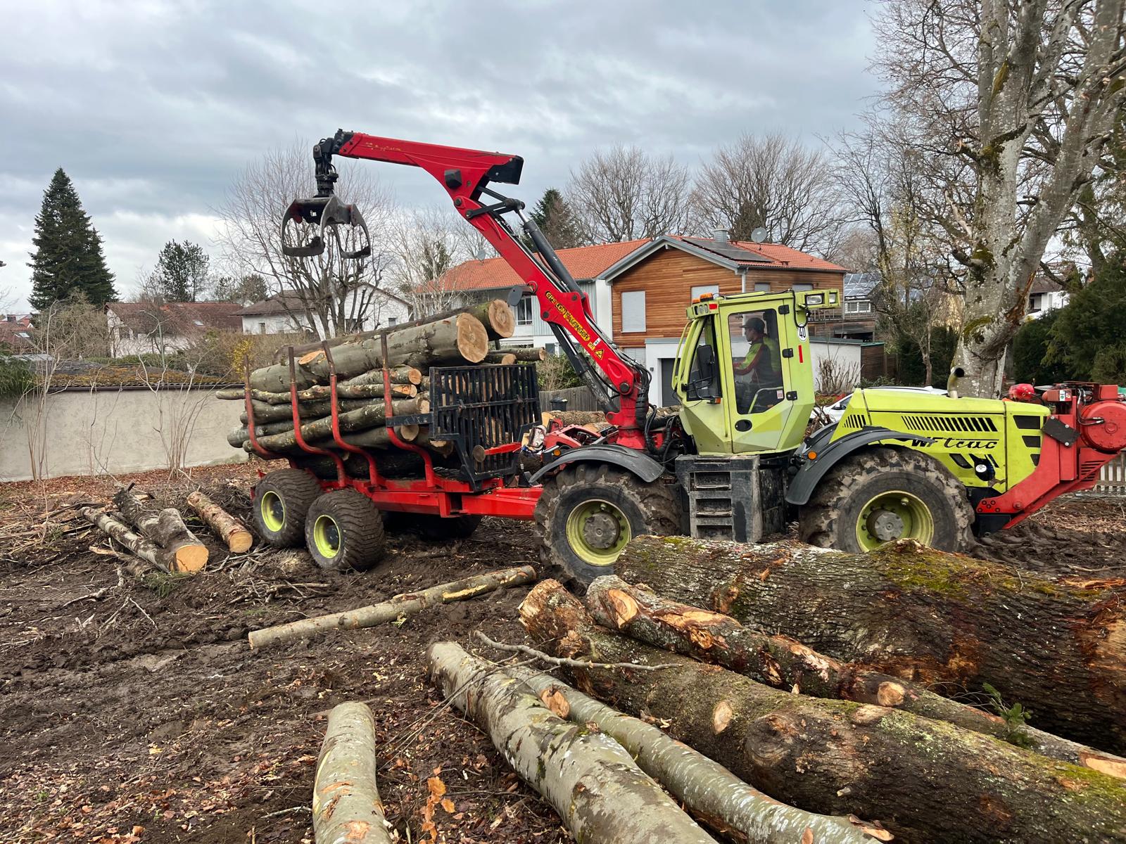 WF Trac beim Verladen von Stammholz