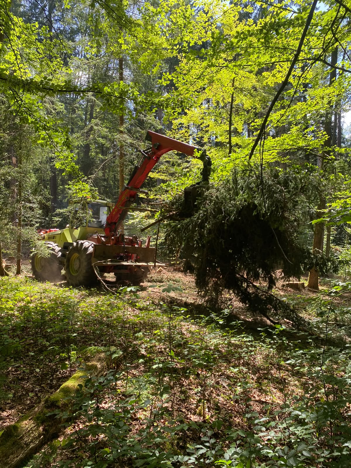 WF Trac im Einsatz – Aufnahme 8